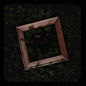 嗯～啊～轻一点🈲🔞动漫视频
