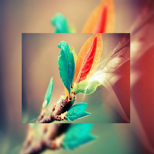 嗯～啊～轻一点🈲🔞动漫视频
